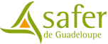 logo Safer Guadeloupe